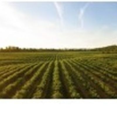 agriculture 400 x 400